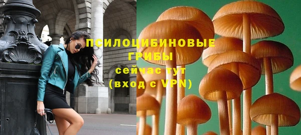 ПСИЛОЦИБИНОВЫЕ ГРИБЫ Балахна