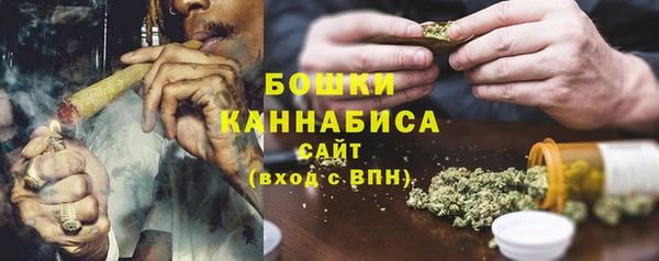 ПСИЛОЦИБИНОВЫЕ ГРИБЫ Балахна