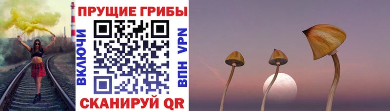 Псилоцибиновые грибы GOLDEN TEACHER Рыбинск