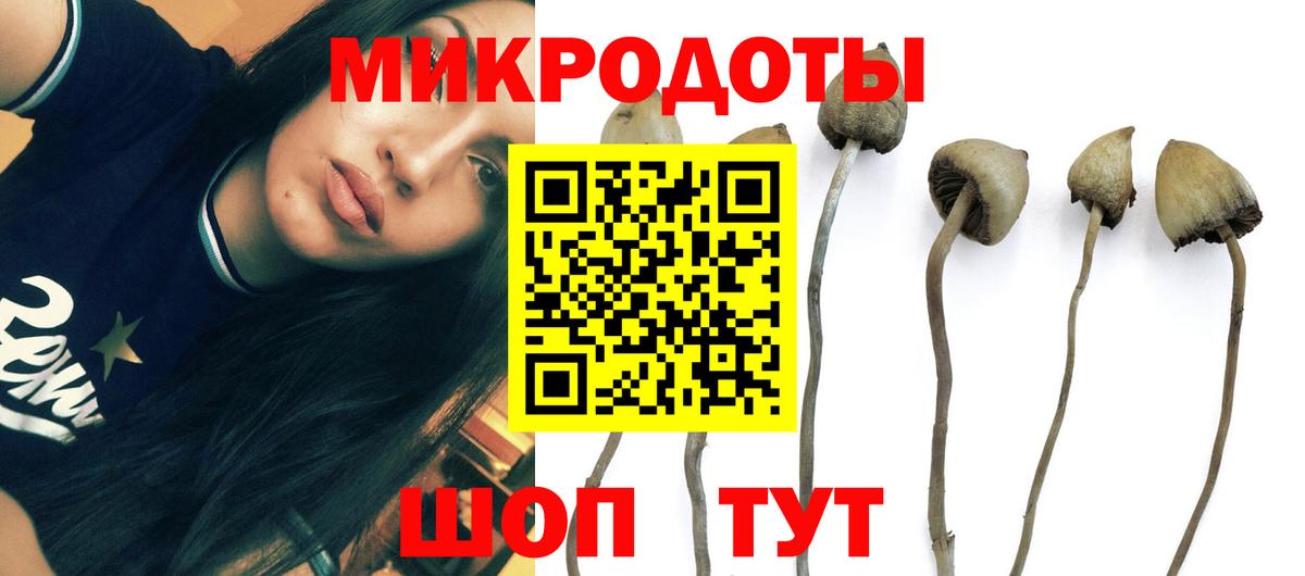 Галлюциногенные грибы ЛСД Рыбинск